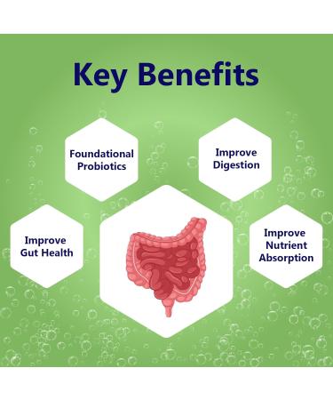 M PAIN MANAGEMENT TECHNOLOGIES Gut Support with Probiotics Oral Dissolvable Film N1 by NerveSpa Improve Digestion Foundational Probiotics Improve Nutrient Absorption 10 Films/Box - Buy Online on GoSupps.com