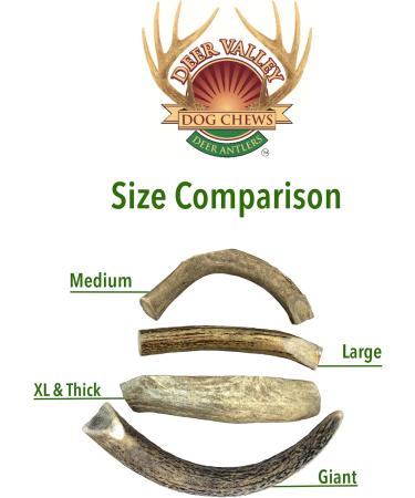 Deer Valley Dog Chews (Giant 2 Pack 8-10 Inches) Premium Dog Deer Antler for Dogs Over 50lbs - Long Lasting Dog Bone for Large Dogs and Aggressive Chewers - Buy Online on GoSupps.com