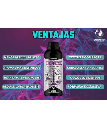 Cannaboom MORE GRAMS Drying booster to lose less weight during the cutting phase unique CANNABOOOM formula (5 liters) - Buy Online on GoSupps.com