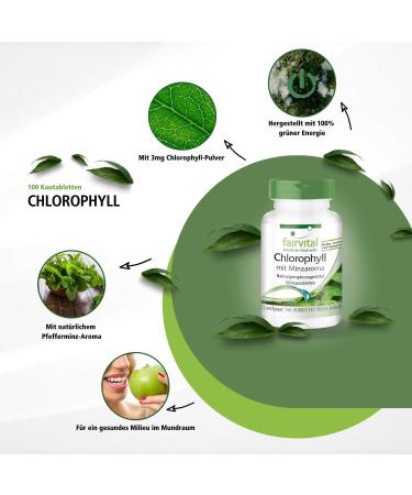 Chlorophyll Tabletten mit Minzaroma - VEGAN - 100 Kautabletten f r gesunde Entgiftung & Energieversorgung | Internationale Lieferung - Buy Online on GoSupps.com