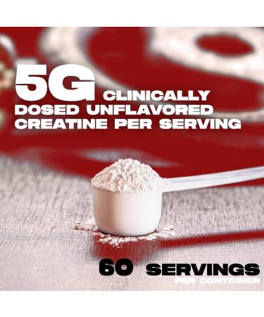 ALPHA LION Creatine Monohydrate Powder 5000mg Per Serving (5g) Supports Muscle Strength Power Athletic Performance Pure Creatina Monohydrata en Polvo Supplement (60 Servings Unflavored) - Buy Online on GoSupps.com