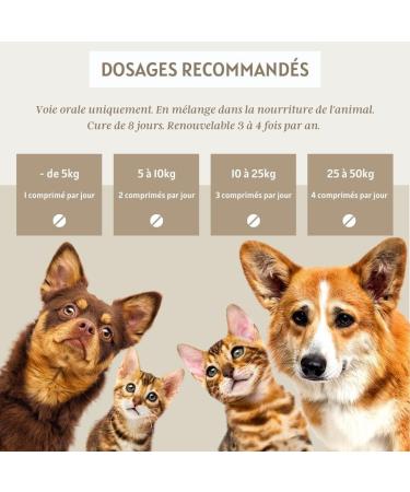 Spirulina 120 Tablets for Dogs and Cats - Natural Nutritional Supplement Immune Support and Digestive Health Rich in Proteins and Antioxidants - Buy Online on GoSupps.com