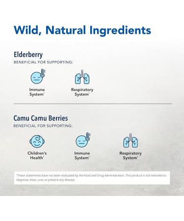 NORTH AMERICAN HERB & SPICE Elder-C - 60 Capsules - Elderberry Concentrate - Immune Support, Healthy Respiratory Response - Contains Oreganol P73 - Non-GMO, Gluten Free - 30 Servings 60 Count (Pack of 1) - Buy Online on GoSupps.com
