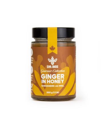 Ginger in Honey - Dr. Bee Gourmet Collection Organic Ginger Pure Canadian Honey (500g)