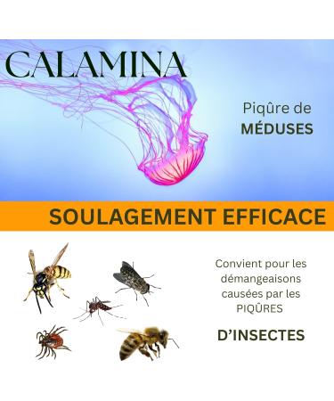 KEFUS Cr me Calamine Dexpanth nol avec Allanto ne et Vitamine E - Anti-D mangeaisons Piq res Moustiques & Anti-Frottements Sport - Astringente pr vient et soulage les irritations cutan es. 75 g. - Buy Online on GoSupps.com
