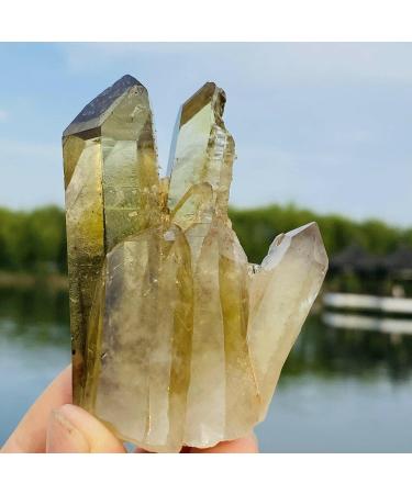 100G Natural Citrine Cluster Specimen Quartz Crystal Suitable for Home ERTEYIN - Buy Online on GoSupps.com