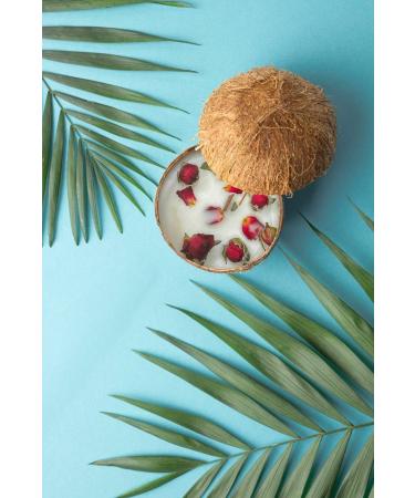 Natural Coconut Shell Bowl Candle - Pine Tree Scented - Handmade Eco-Friendly Candle with Wooden Wick for International Shipping - Buy Online on GoSupps.com