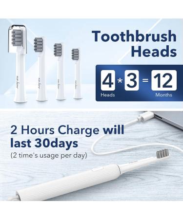 Sejoy Rechargeable Electric Toothbrush for Adults and Kids - Fast Charge Sonic Power Toothbrush with Travel Lock - 4 Brush Heads Included - Buy Online on GoSupps.com