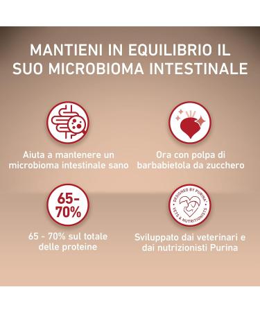 Purina One Mini Delicate Dog Food with Salmon and Rice for Dogs up to 10 kg 8 Bags of 800 g each - Buy Online on GoSupps.com