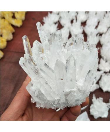 Natural Crystal Rough 600g Natural White Quartz Crystal Cluster Specimen Wedding Decoration Aquarium - Buy Online on GoSupps.com