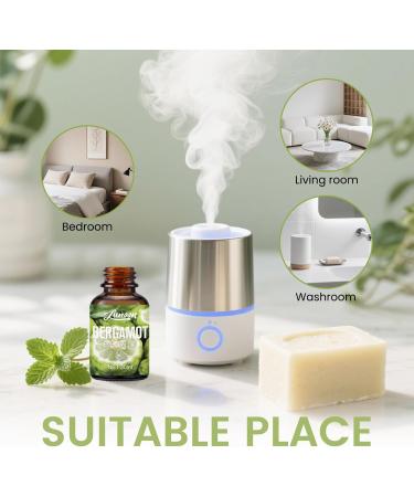 Bergamot Essential Oil with Glass Dropper Natural Bergamots Oil for Aromatherapy Diffuser Skin & Hair Care Soap and Candle Making 1.01 Fl Oz (Bergamot) - Buy Online on GoSupps.com