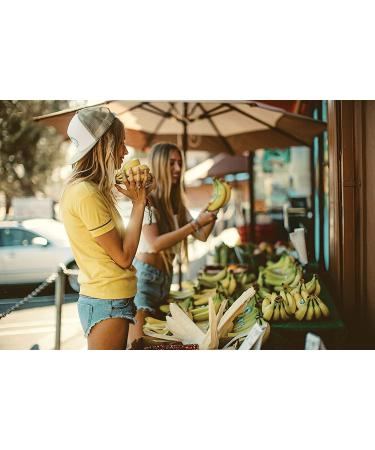 Sun Bum Blonde Tone Enhancer - Paraben Gluten and Cruelty Free Purple Leave In Treatment for Blondes (2 Pack) 8 Fl Oz (Pack of 1) - Buy Online on GoSupps.com