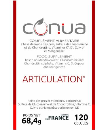 Joints Pain joint comfort LE ONLY 5 ACTIONS IN 1 flex Sulfate Glucosamine Chondroitin Plant Meadowsweet copper and manganese Muscle painful complex 120 capsules France - Buy Online on GoSupps.com