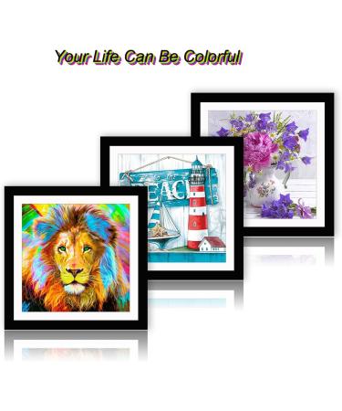 Betionol Diamond Painting Frame 12x12in Black Solid Wood w/ Acrylic Glass & Hanging Kit - Buy Online on GoSupps.com