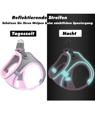 Shop XXS Pink Dog Harness & Puppy Tableware - Bright Leash Dishes for Small Dogs & Cats | International Shipping Available - Buy Online on GoSupps.com