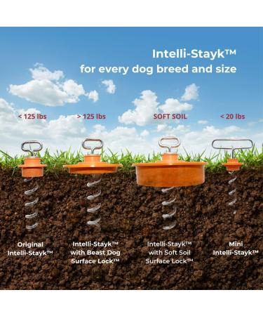Buy Intelli-Stayk Mini Dog Pile | Locking Technology | Durable & Portable Dog Stakes - International Shipping Available - Buy Online on GoSupps.com