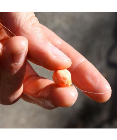 Loon Outdoors Biostrike Orange: High-Visibility Fly Fishing Indicator - Buy Online on GoSupps.com