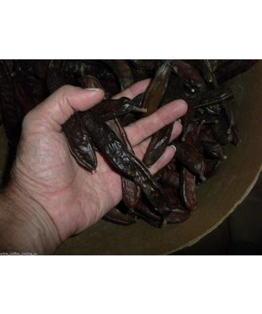 PLAT Firm SEMI DI GERMINAZIONE: 4 Unzen: caroube et baccelli Samen Ganz gearbeiteten Sauvage St. Johns Brot Roh Schokoladengeschmack - Buy Online on GoSupps.com