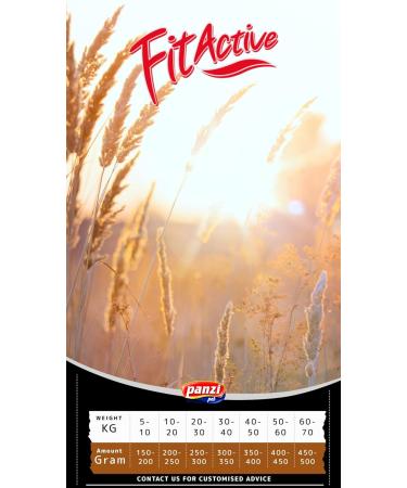 Fit Active - Hypoallergenic food for adult dogs with sensitive stomach/intestines - Dog food with rabbit (4 kg) - Buy Online on GoSupps.com