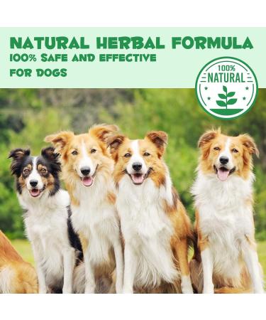 Natural Liquid Dog Wormer for Effective Puppy and Dog Deworming (120ml) - Buy Online on GoSupps.com