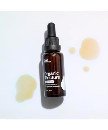 Plant Therapy Organic Lion's Mane Tincture 30 mL (1 oz) Supports Brain Health Mental Clarity & Memory Potent & Natural Extraction Process Vegan Non GMO Gluten Free Liquid 1 Bottle - Buy Online on GoSupps.com