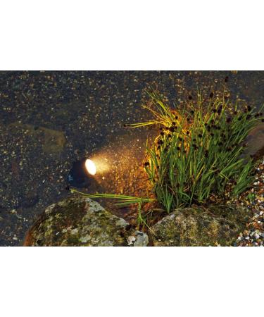 Pontec PondoStar LED Underwater Lighting Set of 3 - Buy Online on GoSupps.com