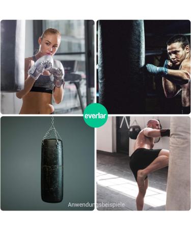 Everlar Anti Shock BoxSackfeder SET - 2 Karabiner | Quality EU Made Accessories for Sandbag & Punching Bag Suspension | 130 kg - Buy Online on GoSupps.com