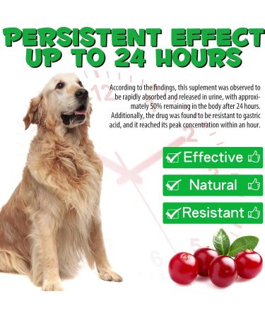 Urinary Support for Dogs - Natural Supplement for Kidney Stones Bladder Health & UTI Prevention - Promotes Urinary Function & Normal pH - 2.02fl oz - Buy Online on GoSupps.com