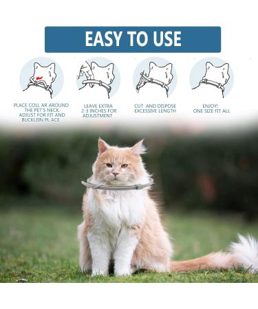 Plant Based Essential Oil Waterproof Treatment for Small Kittens with Free Comb - 2 Pack - Buy Online on GoSupps.com