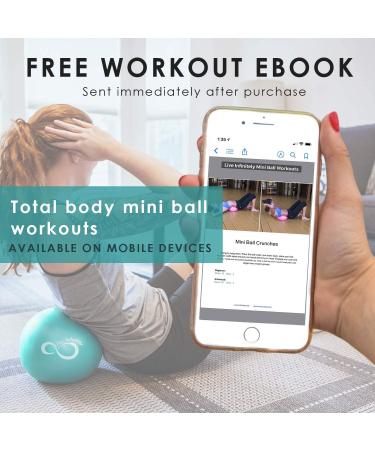 Live Infinitely 9 Inch Barre Pilates Ball & Hand Pump Anti Burst Mini Ball & Digital Workout eBook Included for Yoga  Exercise  Balance & Stability Training  Comes with Mesh Carrying Bag Rose 9 Inch - Buy Online on GoSupps.com