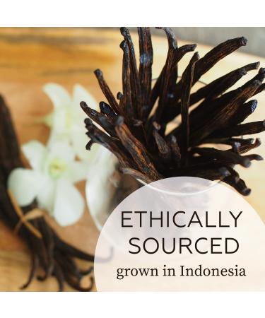 Grade A Whole Vanilla Beans - 5 Pods for Vanilla Extract, Baking, Ice Cream, Coffee - Rich Taste, Long-lasting Flavor - Buy Online on GoSupps.com
