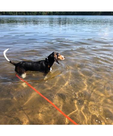Pettom Drag Line for Dogs - Robust 6m/10m/15m Leash with Padded Handle | Durable Nylon Training Line | Perfect for Cross-Country Adventures - Buy Online on GoSupps.com