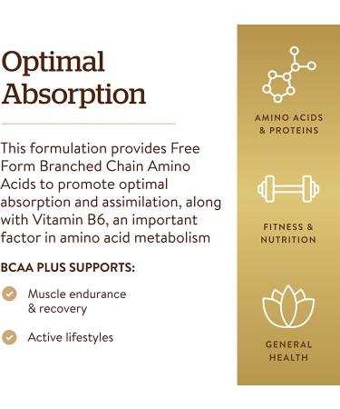 Solgar BCAA Plus Free Form | 100 Vegetable Capsules for Muscle Support - Buy Online on GoSupps.com