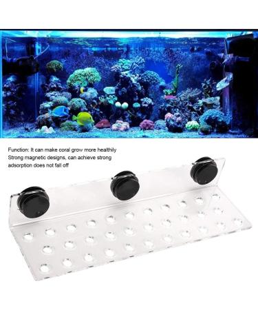 Zerodis Aquarium Coral Rack Bracket - Acrylic Frag Rack with Strong Suction | 32 Hole Coral Holder for Aquariums - Top Aquarium Accessories - Buy Online on GoSupps.com