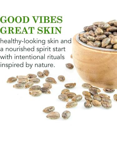 Organic Black Castor Oil for Hair Growth Cold Pressed Castor Oil for Eyelashes and Eyebrows Hair Growth Oil Castor Oil Organic for Damaged Hair Skin Nails Beard Strengthen Hair Roots - Buy Online on GoSupps.com