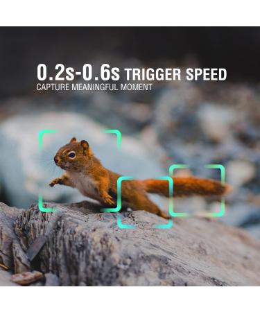 Buy Aomiun 36MP Wild Camera | 1080P Motion Detector & Night Vision | IP54 Waterproof Hunting Camera with 34 Infrared Lights - Buy Online on GoSupps.com