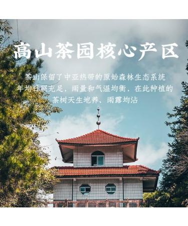 HQZMCTE Selection: Lapsang Souchong (Zhengshan Xiaozhong) Wuyishan Black Tea China Leaf Tea (1) - Buy Online on GoSupps.com
