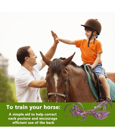 Adjustable Horse Halter | Heavy Duty Chin and Throat Snap Halter Horse - Comfortable Padded Nylon Horse Halter for Training Equestrian Grooming Lambo Purple - Buy Online on GoSupps.com