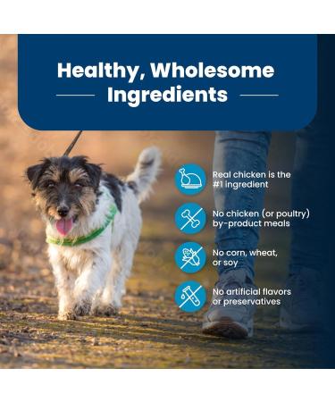 Blue Buffalo Life Protection Formula Small Bite Chicken & Brown Rice 11.7kg Large Bag Small Bite Chicken - Buy Online on GoSupps.com