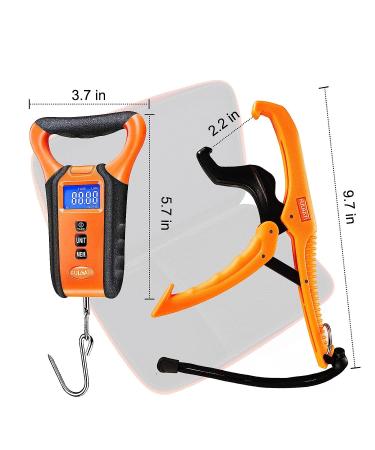 Waterproof Fish Scale Floating Fishing Scale with Lip Gripper - 110lb/50kg, Backlit LCD Display, Memory Storage & Summation - Perfect Fishing Gift for Men - Buy Online on GoSupps.com