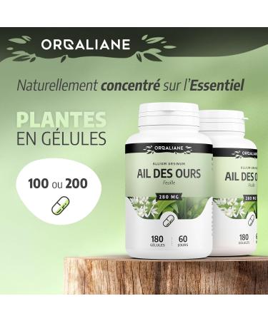 Bear Garlic 280 mg -180 capsules - Buy Online on GoSupps.com