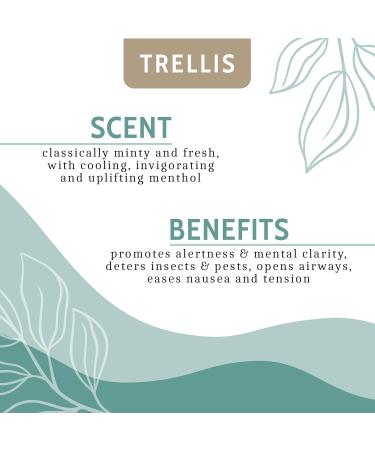 Trellis Peppermint Oil 10ml | 100% Pure Essential Oil for Diffusers | Vegan & Cruelty Free | Ethically Sourced & Bottled in USA & UK - Buy Online on GoSupps.com