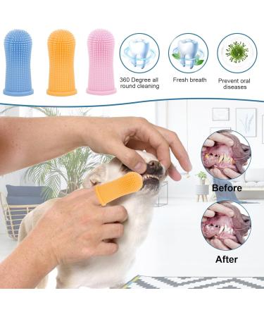 6-Piece Dog Dental Care Set | Toothbrush & Finger Brush with Storage Box | Pet Dental Hygiene for All Pets - Buy Online on GoSupps.com