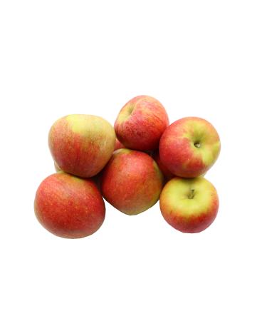 Bleichhof Bleichhof Pilot Apples - Palatinate Solid Acid Variety (10 kg) New Harvest
