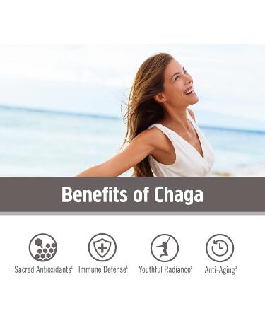 Om Mushrooms Chaga Powder - Certified Organic 7.05 oz (200g) | 100% Pure Mushroom Supplement - Buy Online on GoSupps.com