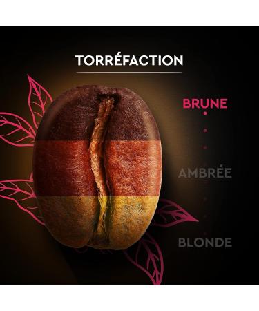 CARTE NOIRE - Caf Grain Carte Noire Espresso - 100% Arabica - Paquet de 6 kg - Fabriqu en France - Buy Online on GoSupps.com