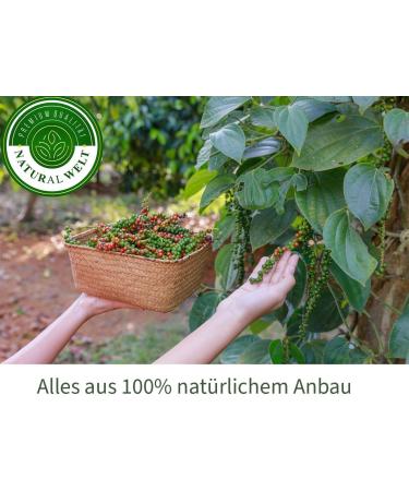 Natural Welt Grains de poivre noir 340 g I Convient pour le moulin I Poivre noir naturel I Vietnam - Buy Online on GoSupps.com