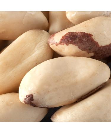 Buy Organic Whole Brazil Nuts - Bremer Gew rzhandel 180g | Premium Quality No Shell International Shipping - Buy Online on GoSupps.com
