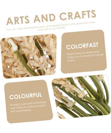 Alipis 4 Pcs Simulated Ears of Wheat Thanksgiving Wheat Decoration Fake Wheat Stalks Decorative Wheat Stalks Bouquet Decor Trigo Artificial Dried Plastic Reward Christmas - Buy Online on GoSupps.com