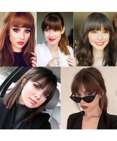 Bangs Hair Clip Bangs Hair for Women Synthetic French Bang with Temples Clip in Hair Extensions Thick Natural Full Bangs Straight Fringe Hairpieces for Daily Wear Hairpieces (Color : Light Brown) - Buy Online on GoSupps.com